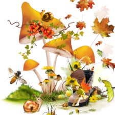 őszi állatok_152.png